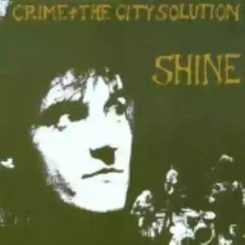 Cover Crime & the City Solution - Shine