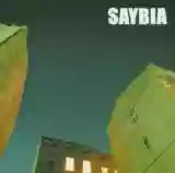 Saybia: The second you sleep