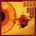 <b>Kate Bush</b> • The Kick Inside