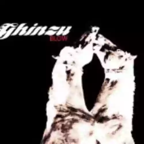 Cover Ghinzu - Blow