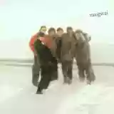 Mogwai: No Education = No Future (Fuck the Curfew)