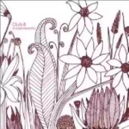 Cover di Strangely Beautiful