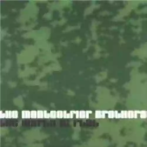 Cover The Montgolfier Brothers - The World Is Flat