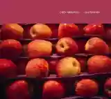 Oren Ambarchi: Suspension