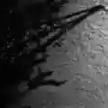 <b>Max Richter</b> • The Blue Notebooks