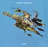 Steve Tibbetts: Big Map Idea