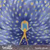 Sinéad O'Connor: Universal Mother