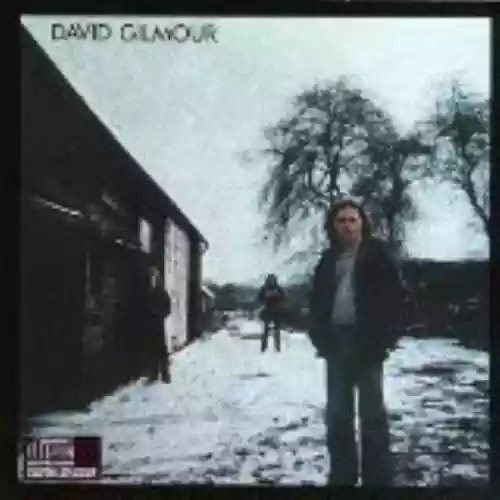 Cover David Gilmour - David Gilmour