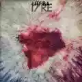 <b>Litfiba</b> • 17 re