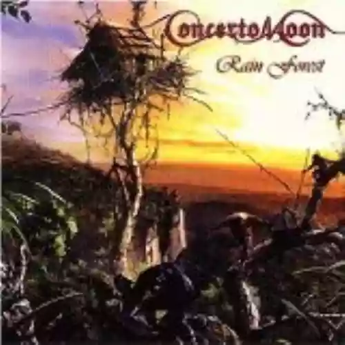 Cover di Rain Forest