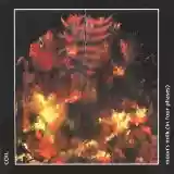 Coil: Moon's Milk (In Four Phases) (disc 2)