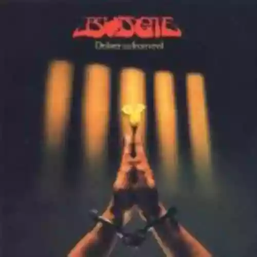 Cover Budgie - Deliver Us From Evil