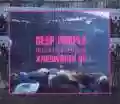 <b>Deep Purple</b> • In the Absence of Pink: Knebworth 85