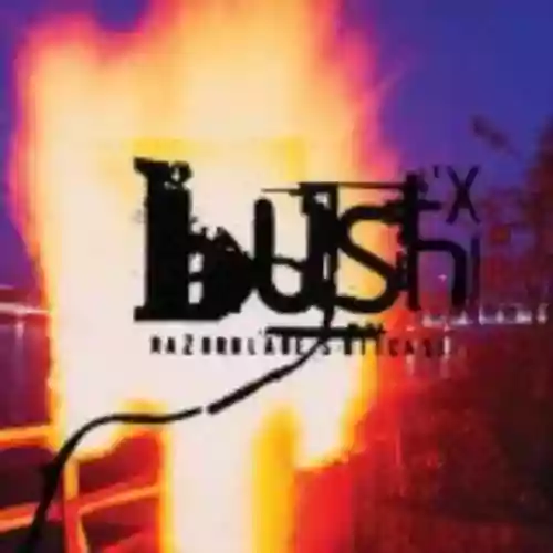 Cover di Razorblade Suitcase