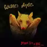 guano apes: proud like a god