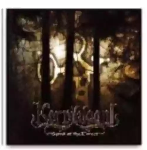 Cover di Spirit of the Forest