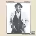 <b>Muddy Waters</b> • Hard Again