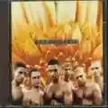 <b>Rammstein</b> • Herzeleid