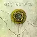 <b>Whitesnake</b> • Whitesnake