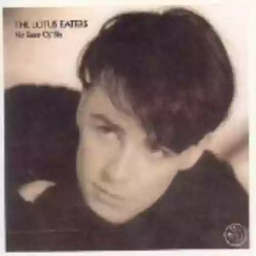 Cover The Lotus Eaters - No Sense of Sin