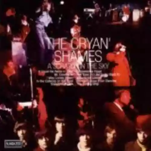 Cover The Cryan' Shames - A Scratch in the Sky
