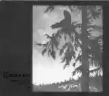 Empyrium: Where at Night the Wood Grouse Plays