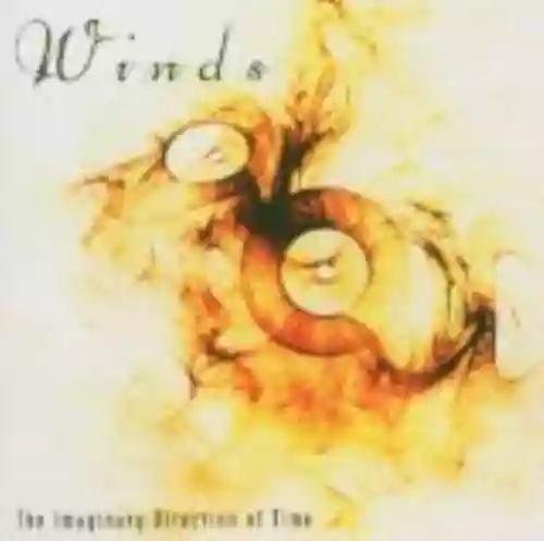 Cover di The Imaginary Direction of Time