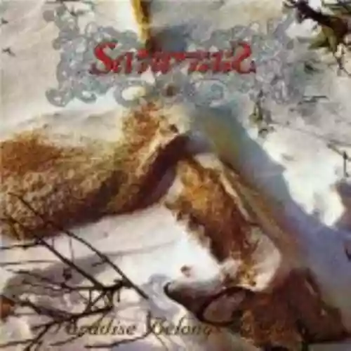 Cover di Paradise Belongs to You