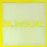 pet shop boys: bilingual