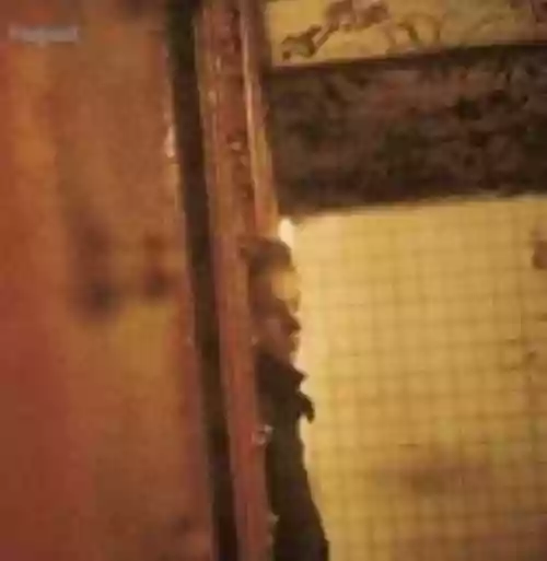 Cover Fugazi - Steady Diet of Nothing