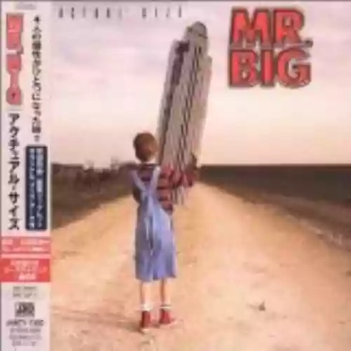 Cover di Actual Size