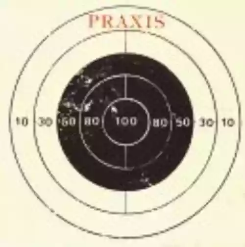 Cover Praxis - 1984