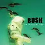 Bush: The Science of Things