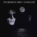 The Sisters Of Mercy: Floodland