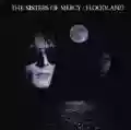 <b>The Sisters of Mercy</b> • Floodland