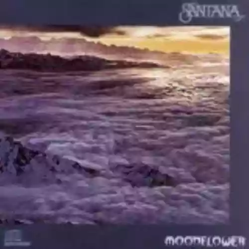 Cover di Moonflower