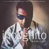 Incognito: Remixed