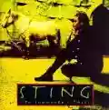 <b>Sting</b> • Ten Summoner's Tales