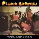 flamin' groovies: teenage head
