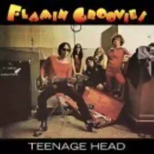 Cover Flamin' Groovies - Teenage Head