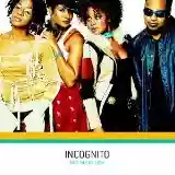 Incognito: Who Needs Love
