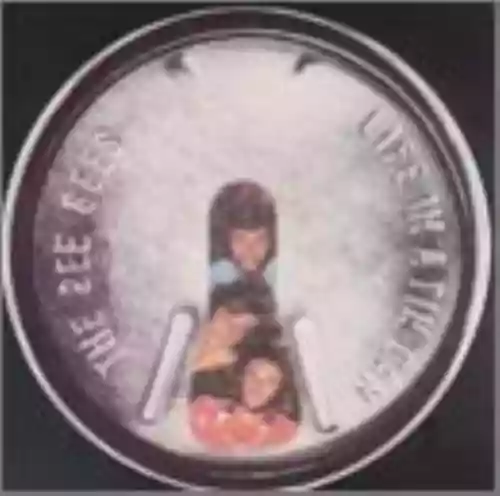 Cover Bee Gees - Life in a Tin Can