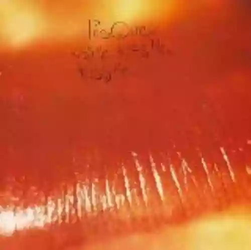 Cover The Cure - Kiss Me Kiss Me Kiss Me