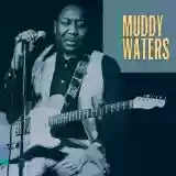 Muddy Waters: King of the Electric Blues