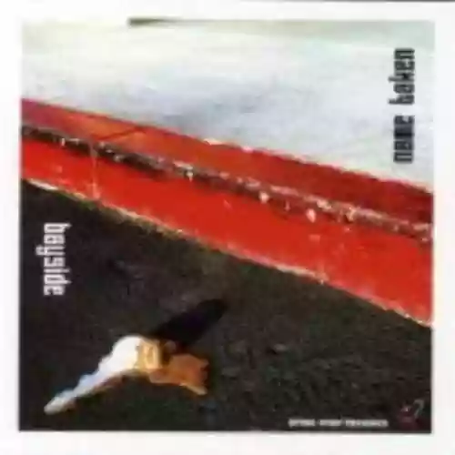 Cover di Bayside / Name Taken