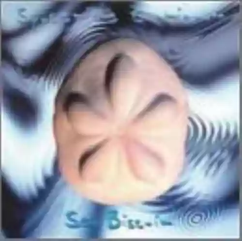 Cover Spacetime Continuum - Sea Biscuit