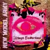 New Model Army: Strange Brotherhood
