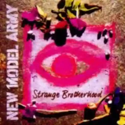 Cover di Strange Brotherhood