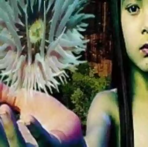 Cover di Lifeforms