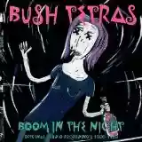 Bush Tetras: Boom in the Night